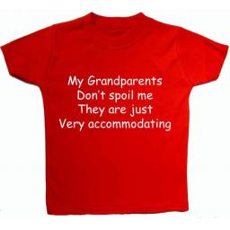 My Grandparents don't spoil me...Baby, Childrens T-Shirt