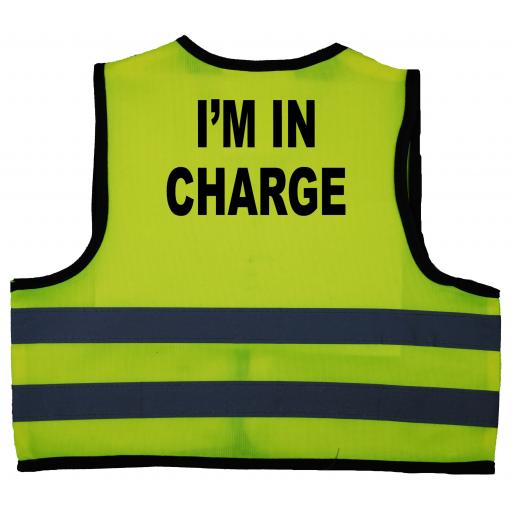 I'm-in-charge-0-12.jpg